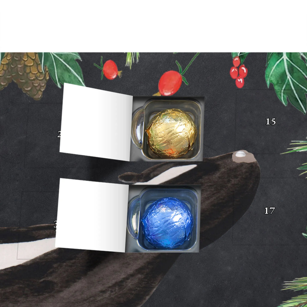 Chocolate advent calendar skunk yoga Stinky, Predator, Live, Wild animal, Laugh