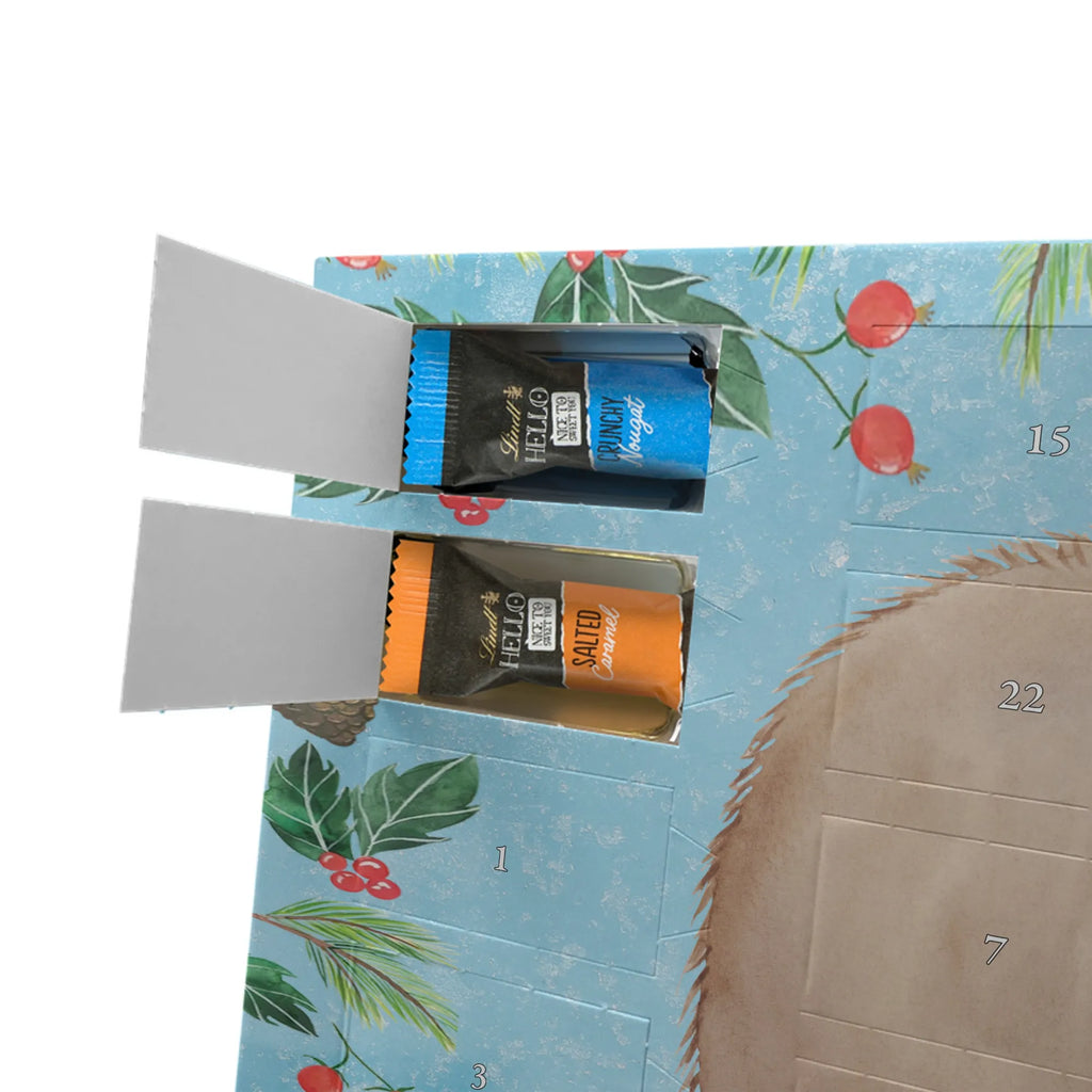 Chocolate advent calendar Wombat gift ideas, gifts, small animals, good mood, cute, funny sayings, cute animal motives, hand drawn, special gifts, card, animal lover, saying, life is beautiful, Australia