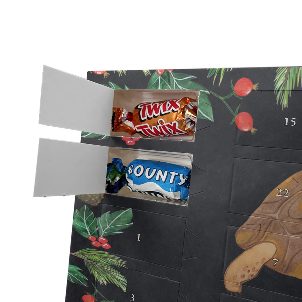 Schokoladen-Weihnachtskalender Schildkröte Marschieren Weihnachten Adventskalender, adventskalender schoko, Schoko Adventskalender, Weihnachtskalender Schokolade, Weihnachts Kalender, schokoladenkalender, Schokoladen-Weihnachtskalender, Schokoladen Adventskalender, süßigkeiten adventskalender, schoko weihnachtskalender, schokolade adventskalender, kalender schokolade, Adventskalender Schokolade, pralinen adventskalender, schokoladen kalender, kalender weihnachten, Weihnachtskalender, süßigkeiten kalender, adventskalender süßigkeiten, schoko kalender, Schokoladen-Adventskalender, Adventskalender, weihnachtskalender schoko, adventskalender pralinen, Schoko-Adventskalender, schokokalender, Meerestiere, Urlaub, Meer, Schildkröte, Get Lost, Lieblingsmensch, Inspiration, Reiselust, Abenteuer, Schildkröten, Neustart, Motivation
