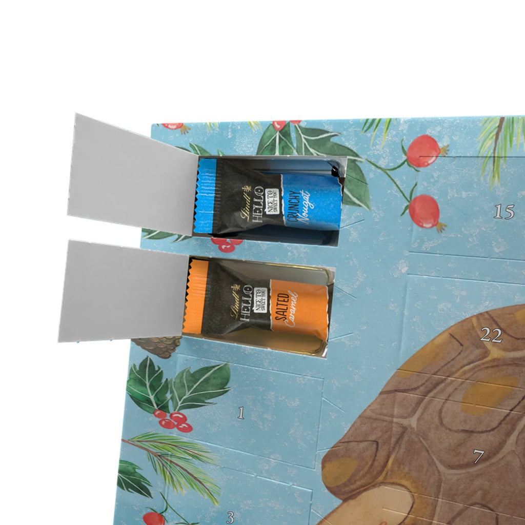  Żółw maszerować Morze, Wakacje, Zwierzeta morskie