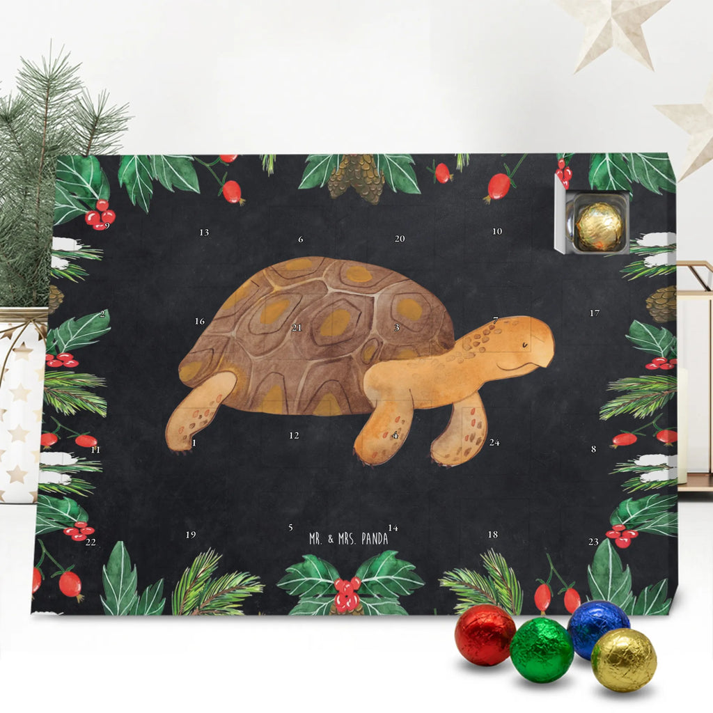 Schokoladen-Weihnachtskalender Schildkröte Marschieren Weihnachten Adventskalender, adventskalender schoko, Schoko Adventskalender, Weihnachtskalender Schokolade, Weihnachts Kalender, schokoladenkalender, Schokoladen-Weihnachtskalender, Schokoladen Adventskalender, süßigkeiten adventskalender, schoko weihnachtskalender, schokolade adventskalender, kalender schokolade, Adventskalender Schokolade, pralinen adventskalender, schokoladen kalender, kalender weihnachten, Weihnachtskalender, süßigkeiten kalender, adventskalender süßigkeiten, schoko kalender, Schokoladen-Adventskalender, Adventskalender, weihnachtskalender schoko, adventskalender pralinen, Schoko-Adventskalender, schokokalender, Meerestiere, Urlaub, Meer, Schildkröte, Get Lost, Lieblingsmensch, Inspiration, Reiselust, Abenteuer, Schildkröten, Neustart, Motivation