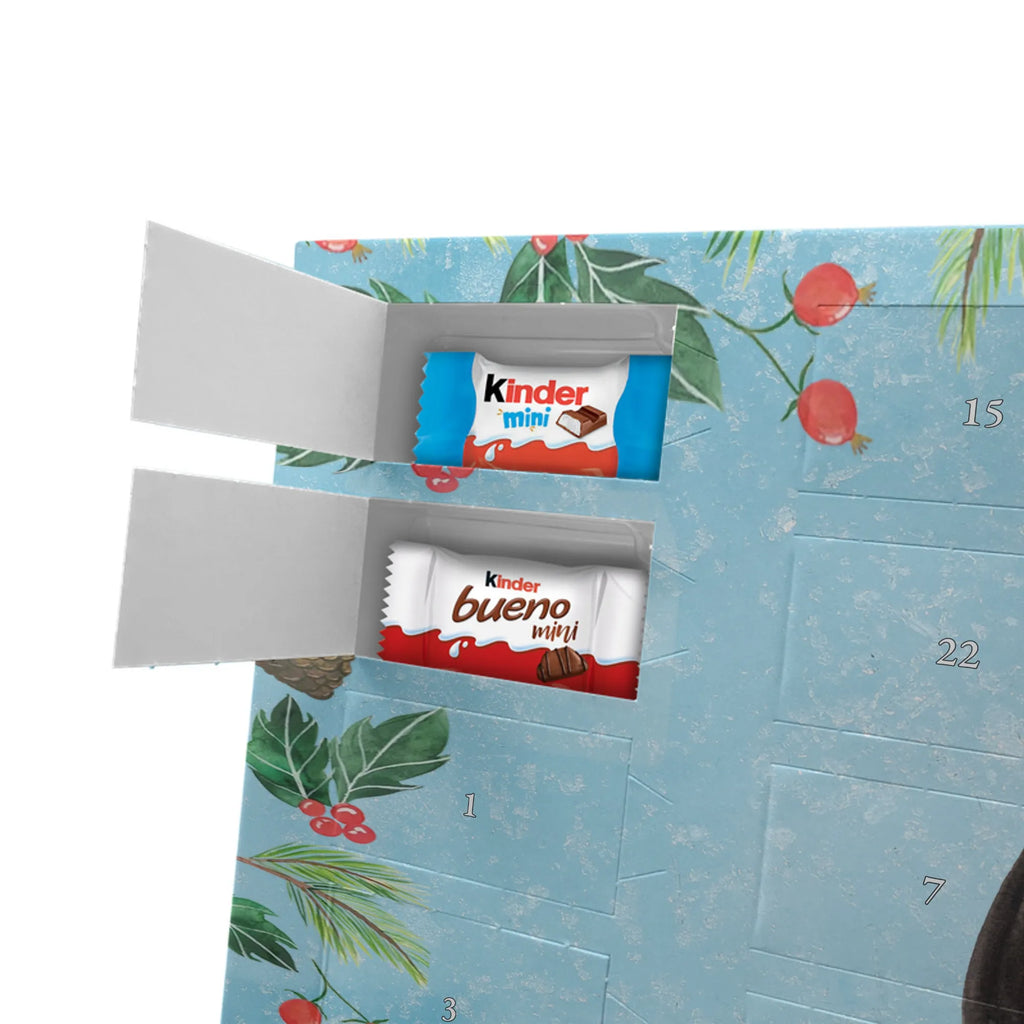 Chocolate advent calendar skunk Sit stinky, law, know-it-all, wild animal, predator