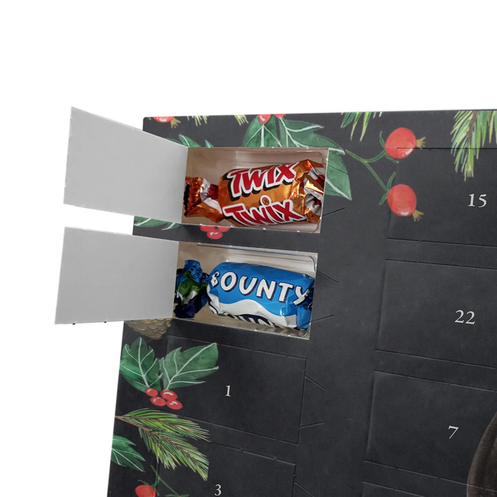 Chocolate advent calendar skunk Sit stinky, law, know-it-all, wild animal, predator