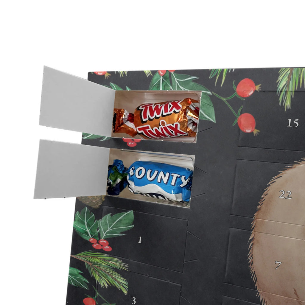 Chocolate advent calendar Wombat gift ideas, gifts, small animals, good mood, cute, funny sayings, cute animal motives, hand drawn, special gifts, card, animal lover, saying, life is beautiful, Australia