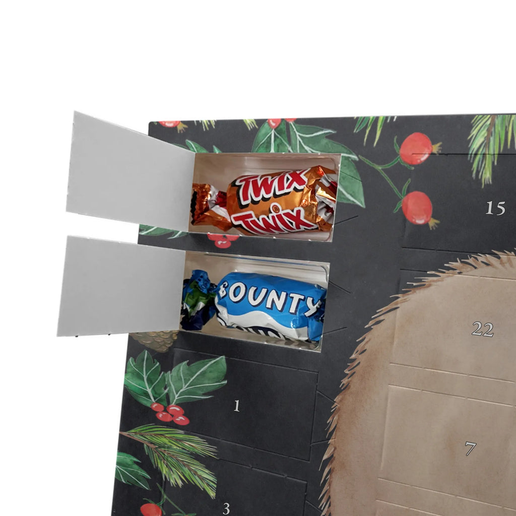 Chocolate advent calendar Wombat gift ideas, gifts, small animals, good mood, cute, funny sayings, cute animal motives, hand drawn, special gifts, card, animal lover, saying, life is beautiful, Australia