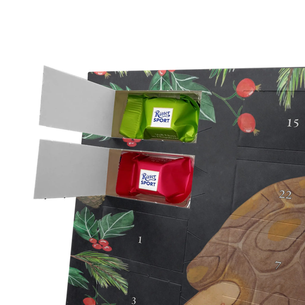 Schokoladen-Weihnachtskalender Schildkröte Marschieren Weihnachten Adventskalender, adventskalender schoko, Schoko Adventskalender, Weihnachtskalender Schokolade, Weihnachts Kalender, schokoladenkalender, Schokoladen-Weihnachtskalender, Schokoladen Adventskalender, süßigkeiten adventskalender, schoko weihnachtskalender, schokolade adventskalender, kalender schokolade, Adventskalender Schokolade, pralinen adventskalender, schokoladen kalender, kalender weihnachten, Weihnachtskalender, süßigkeiten kalender, adventskalender süßigkeiten, schoko kalender, Schokoladen-Adventskalender, Adventskalender, weihnachtskalender schoko, adventskalender pralinen, Schoko-Adventskalender, schokokalender, Meerestiere, Urlaub, Meer, Schildkröte, Get Lost, Lieblingsmensch, Inspiration, Reiselust, Abenteuer, Schildkröten, Neustart, Motivation