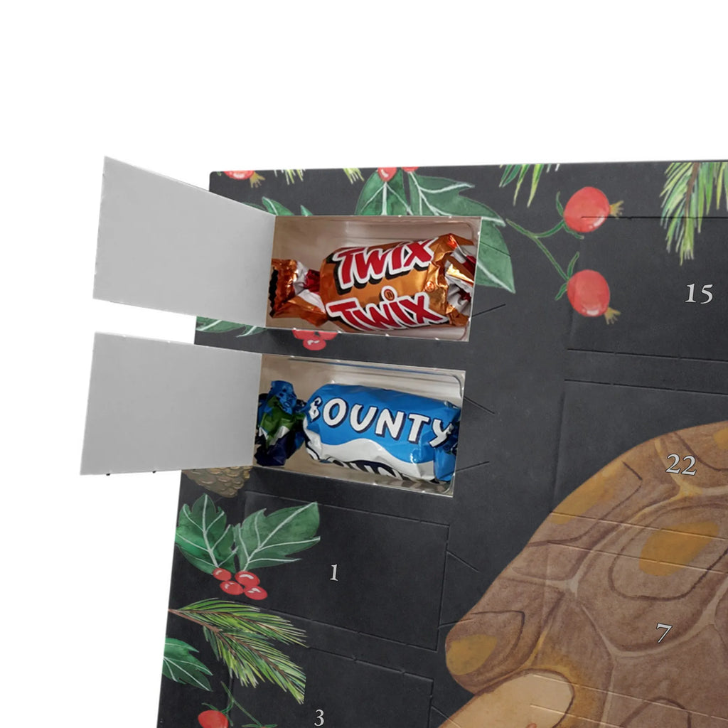 Schokoladen-Weihnachtskalender Schildkröte Marschieren Weihnachten Adventskalender, adventskalender schoko, Schoko Adventskalender, Weihnachtskalender Schokolade, Weihnachts Kalender, schokoladenkalender, Schokoladen-Weihnachtskalender, Schokoladen Adventskalender, süßigkeiten adventskalender, schoko weihnachtskalender, schokolade adventskalender, kalender schokolade, Adventskalender Schokolade, pralinen adventskalender, schokoladen kalender, kalender weihnachten, Weihnachtskalender, süßigkeiten kalender, adventskalender süßigkeiten, schoko kalender, Schokoladen-Adventskalender, Adventskalender, weihnachtskalender schoko, adventskalender pralinen, Schoko-Adventskalender, schokokalender, Meerestiere, Urlaub, Meer, Schildkröte, Get Lost, Lieblingsmensch, Inspiration, Reiselust, Abenteuer, Schildkröten, Neustart, Motivation