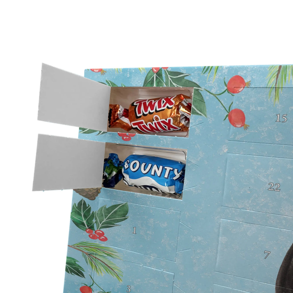 Chocolate advent calendar skunk Sit stinky, law, know-it-all, wild animal, predator