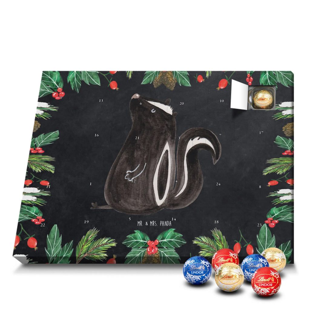 Chocolate advent calendar skunk Sit stinky, law, know-it-all, wild animal, predator