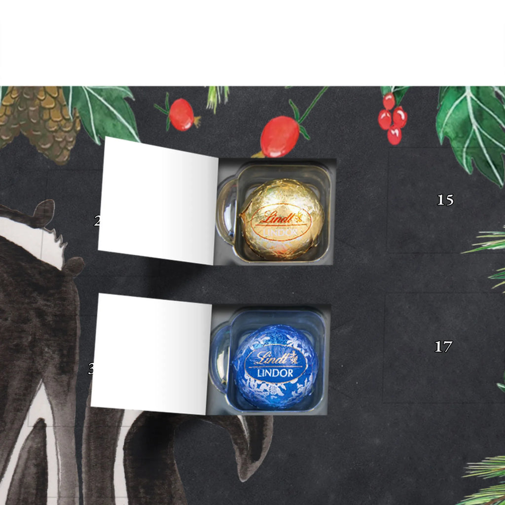 Chocolate advent calendar skunk Sit stinky, law, know-it-all, wild animal, predator