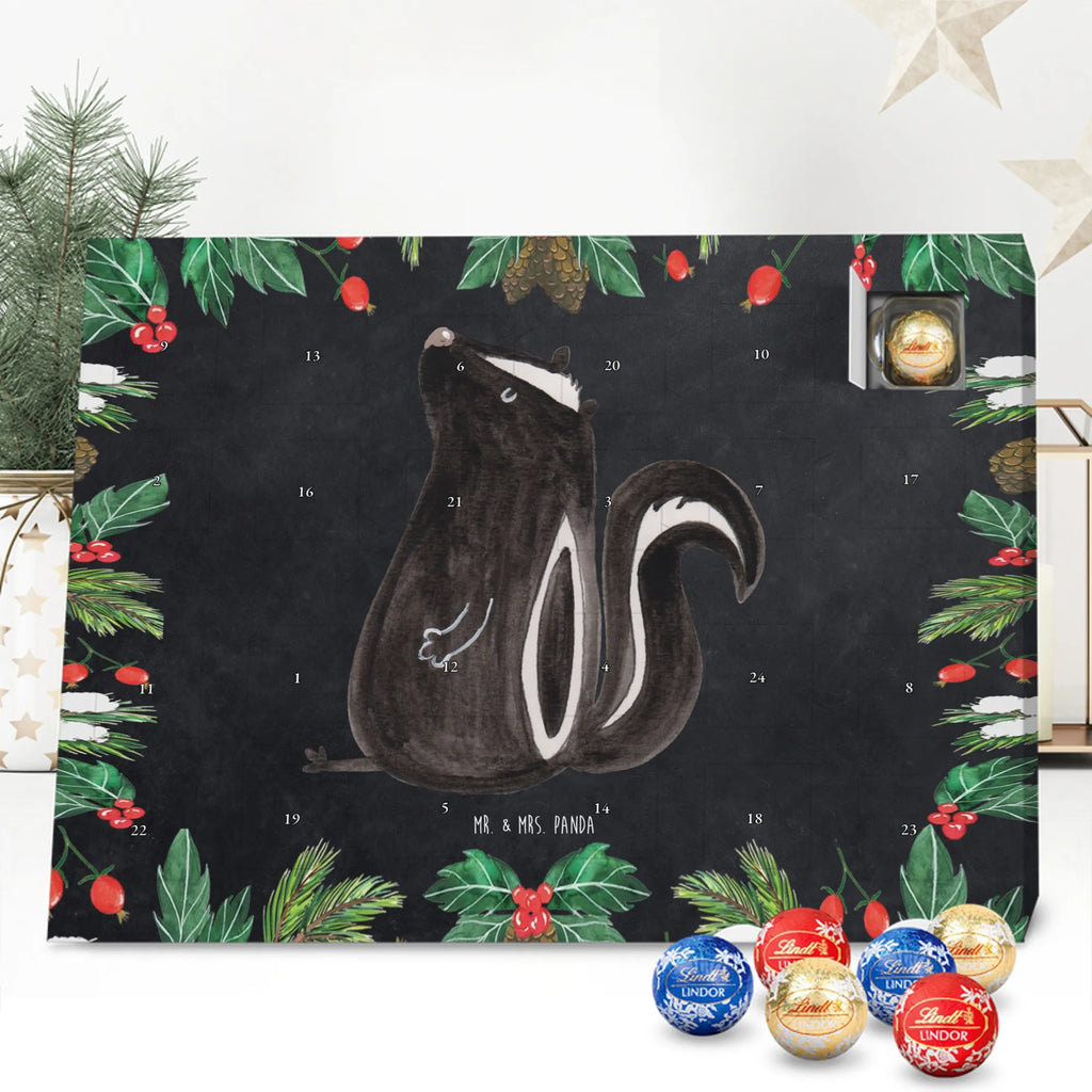 Chocolate advent calendar skunk Sit stinky, law, know-it-all, wild animal, predator