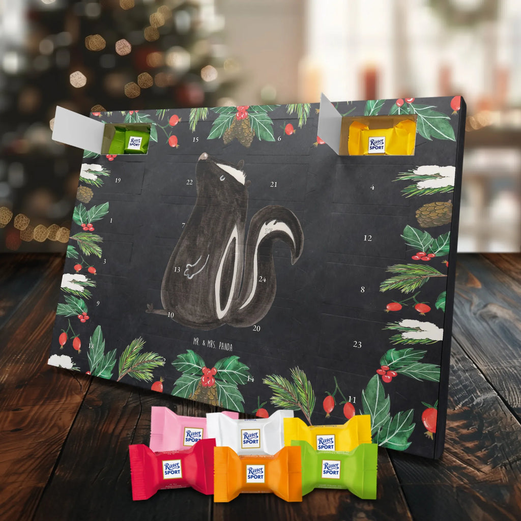 Chocolate advent calendar skunk Sit stinky, law, know-it-all, wild animal, predator