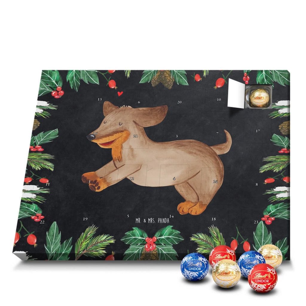  pies Jamnik rasa psa, właściciel psa, miłośnik zwierząt, motyw psa, Pies, powiedzenia, zwierzę domowe