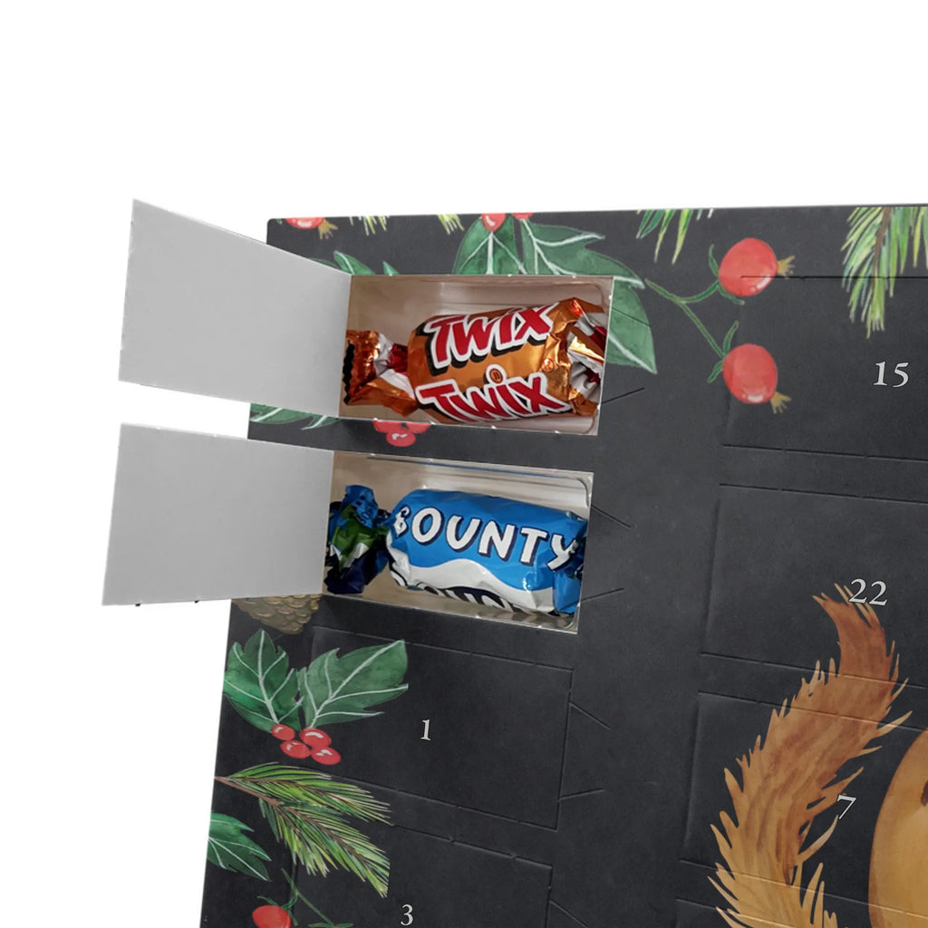 Chocolate advent calendar Squirrel smoothies gift ideas, gifts, small animals, good mood, cute, funny sayings, cute animal motives, hand drawn, special gifts, card, animal lover, chipmunks, squirrels, diet, weight loss