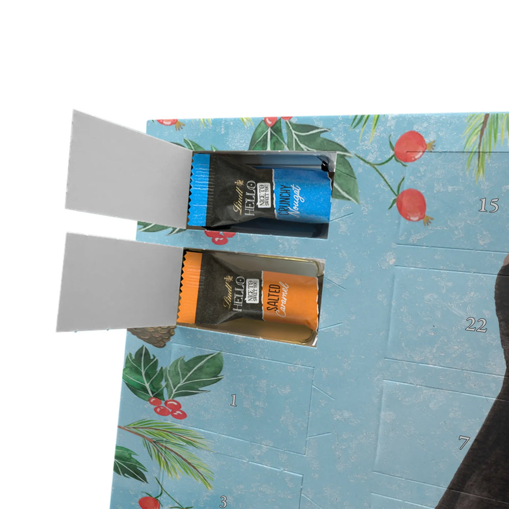 Chocolate advent calendar skunk Sit stinky, law, know-it-all, wild animal, predator