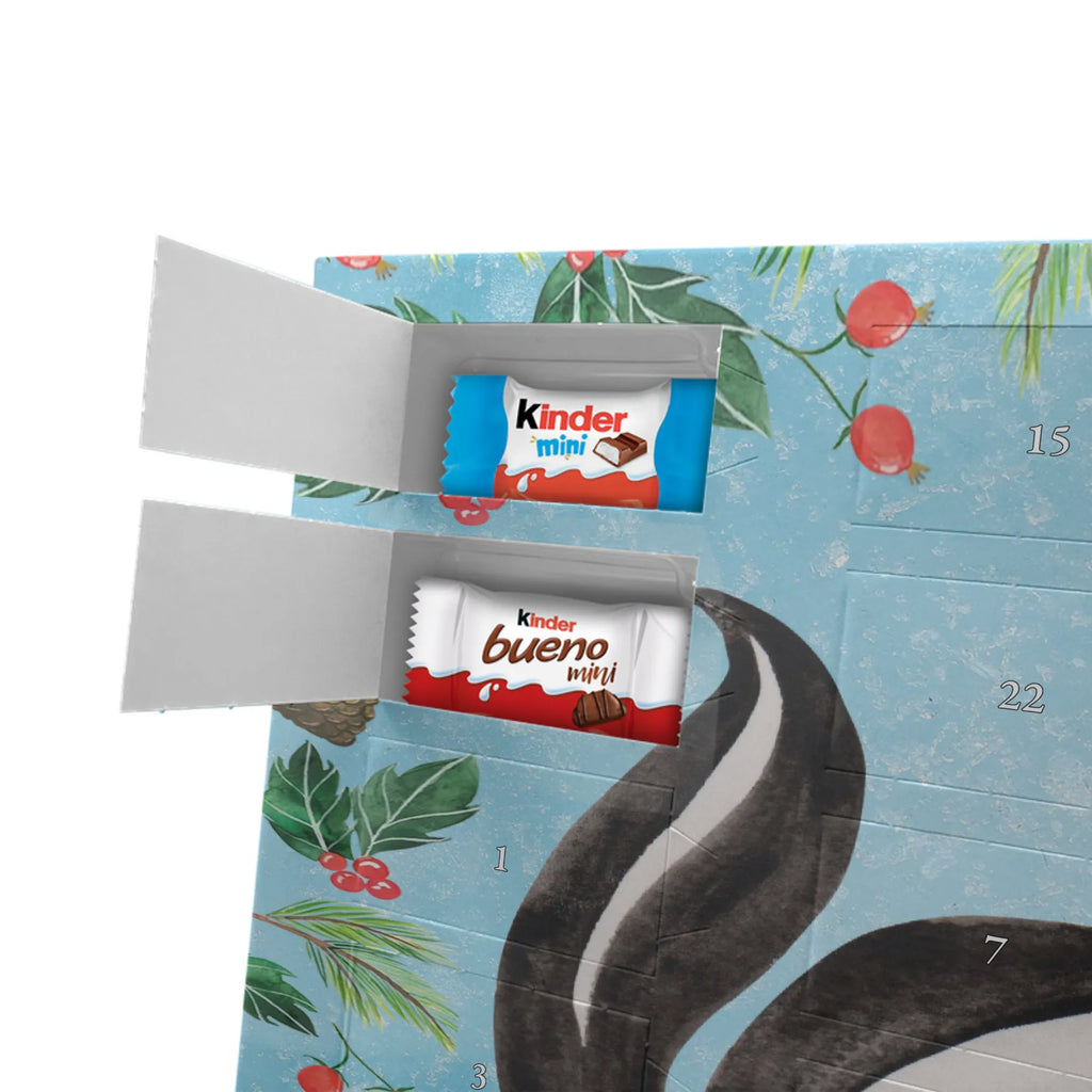 Chocolate advent calendar skunk yoga Stinky, Predator, Live, Wild animal, Laugh