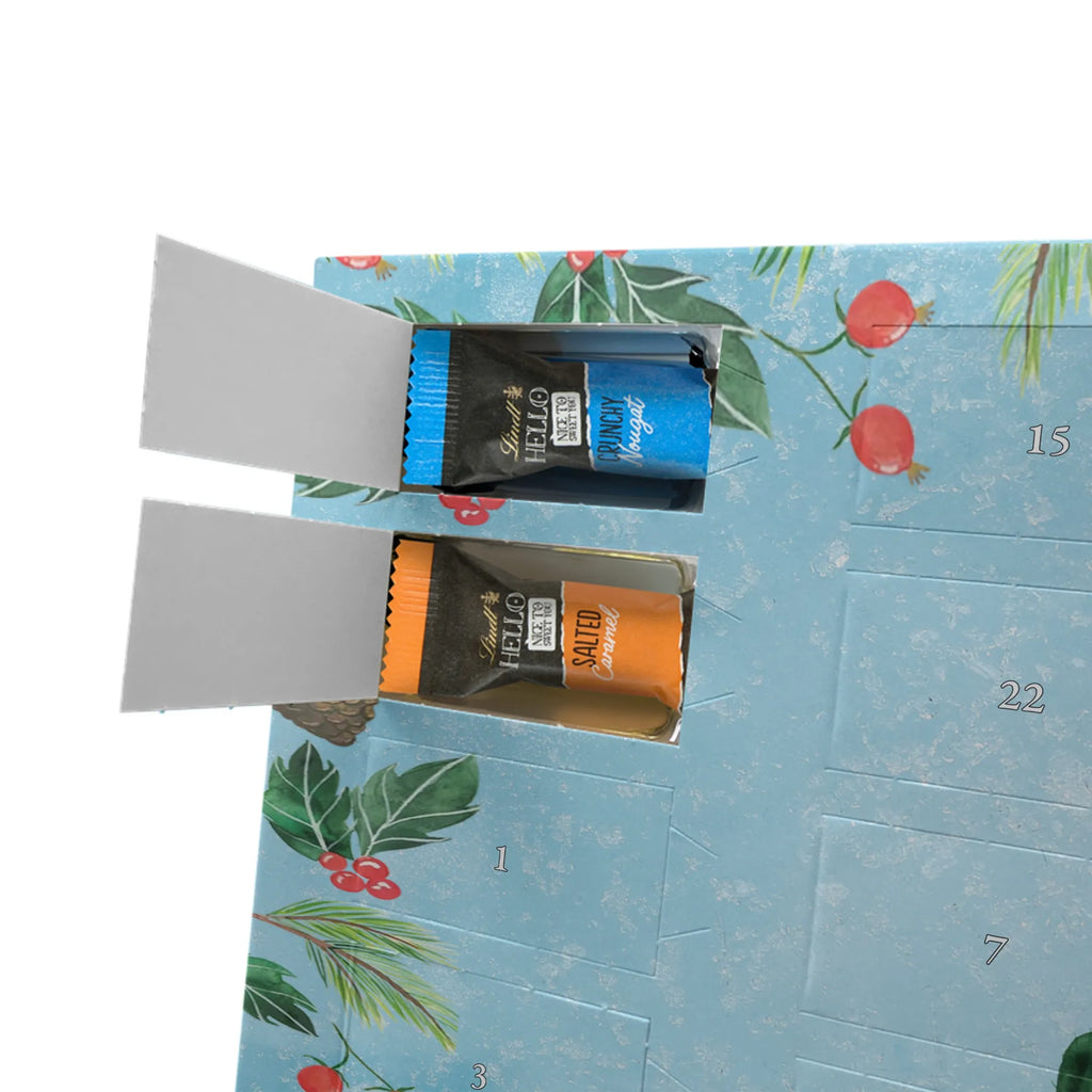  Kaktus Słońce Kaktusy