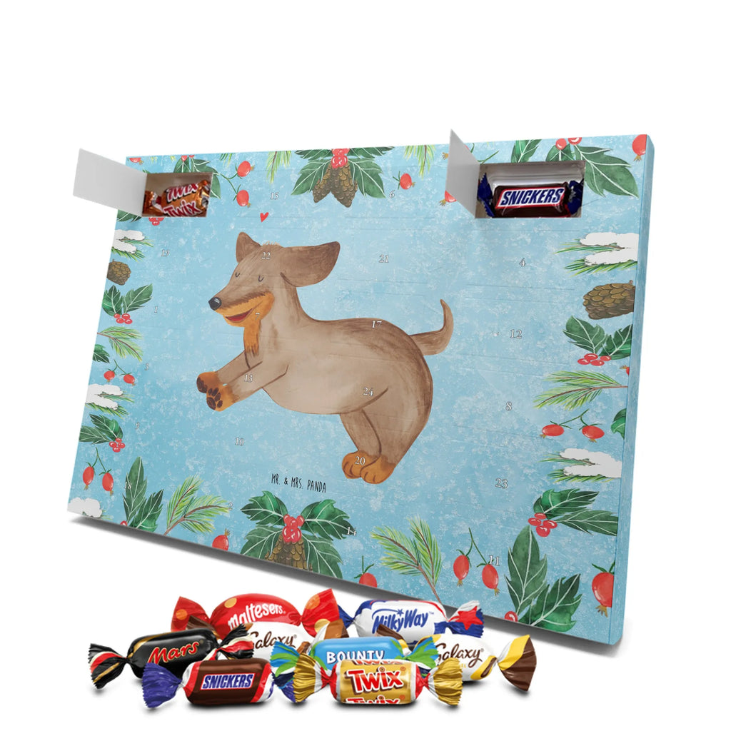  pies Jamnik rasa psa, właściciel psa, miłośnik zwierząt, motyw psa, Pies, powiedzenia, zwierzę domowe