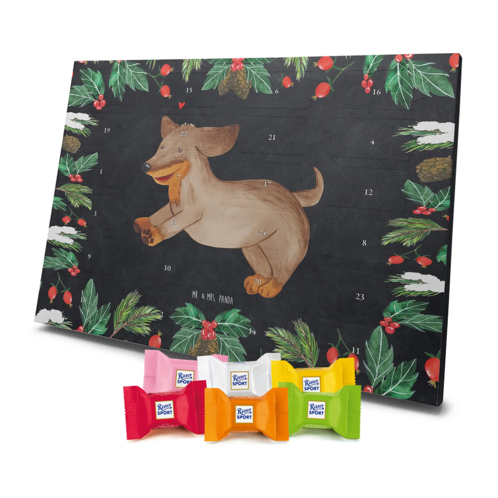  pies Jamnik rasa psa, właściciel psa, miłośnik zwierząt, motyw psa, Pies, powiedzenia, zwierzę domowe