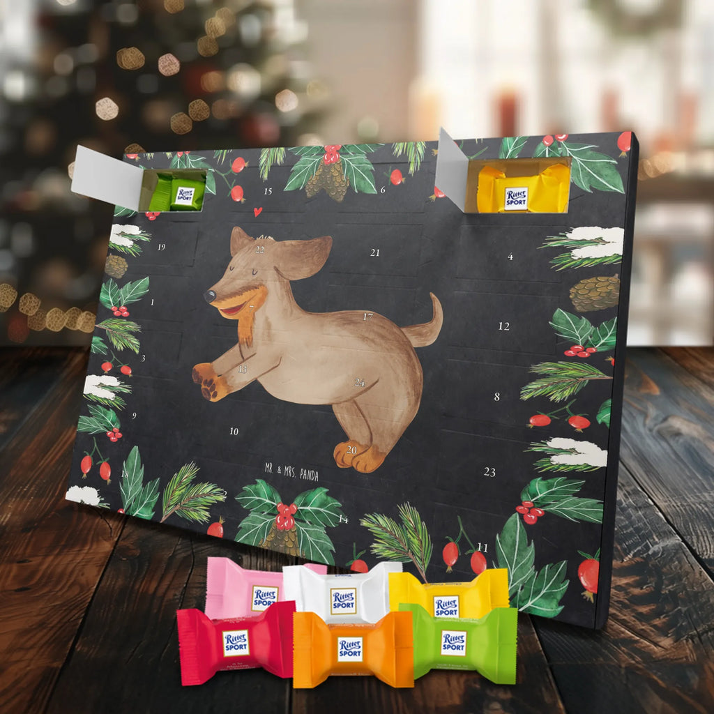  pies Jamnik rasa psa, właściciel psa, miłośnik zwierząt, motyw psa, Pies, powiedzenia, zwierzę domowe