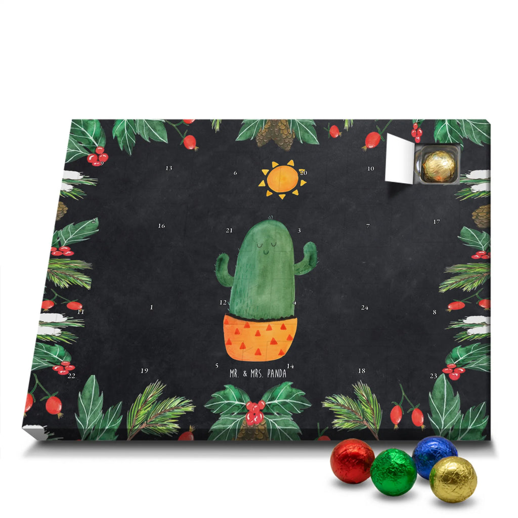  Kaktus Słońce Kaktusy