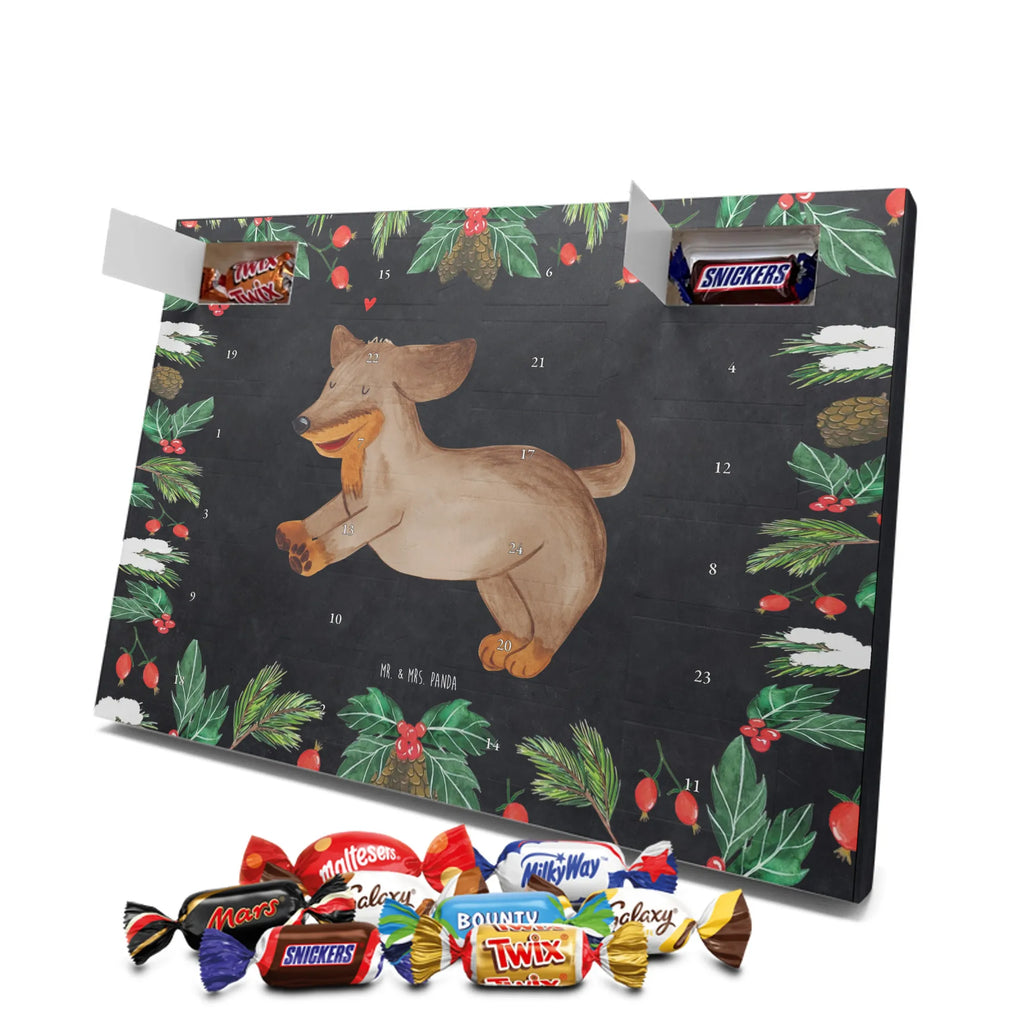  pies Jamnik rasa psa, właściciel psa, miłośnik zwierząt, motyw psa, Pies, powiedzenia, zwierzę domowe