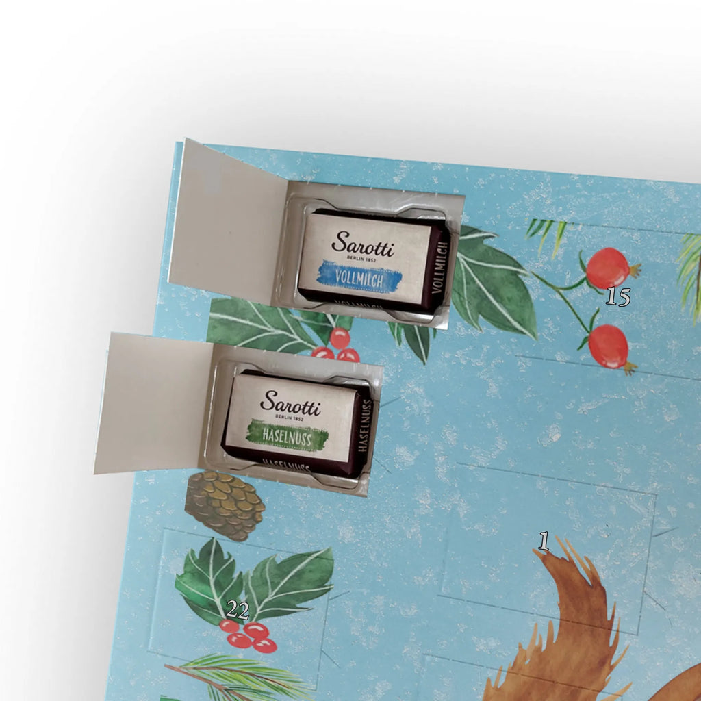 Chocolate advent calendar Squirrel smoothies gift ideas, gifts, small animals, good mood, cute, funny sayings, cute animal motives, hand drawn, special gifts, card, animal lover, chipmunks, squirrels, diet, weight loss