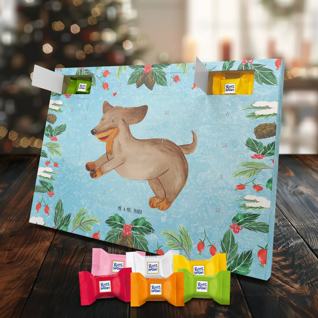  pies Jamnik rasa psa, właściciel psa, miłośnik zwierząt, motyw psa, Pies, powiedzenia, zwierzę domowe