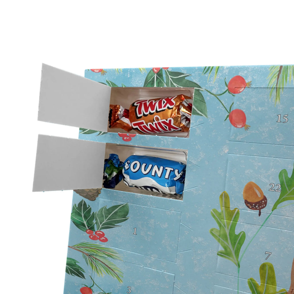 Chocolate advent calendar bear king cuddly toy, teddy bear, Father, best daddy, Daddy Bear, world best daddy, Father's Day