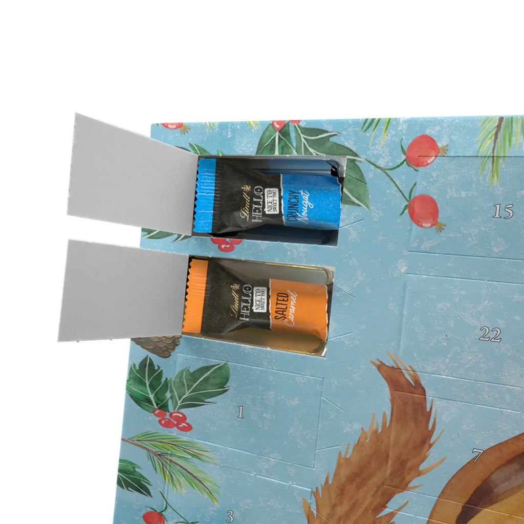 Chocolate advent calendar Squirrel smoothies gift ideas, gifts, small animals, good mood, cute, funny sayings, cute animal motives, hand drawn, special gifts, card, animal lover, chipmunks, squirrels, diet, weight loss