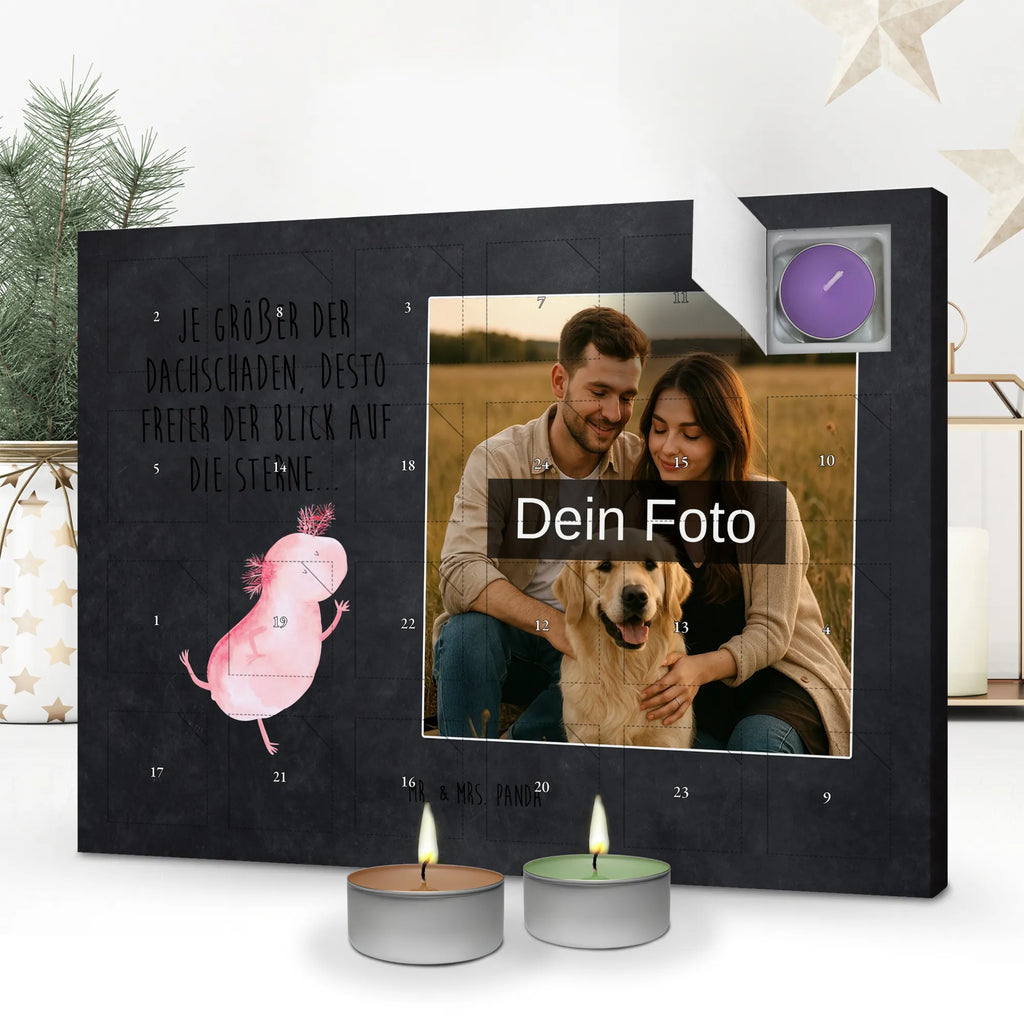  axolotl Dance Axelotl, marine animals, Mexican walking fish, salamander, roof damage, tailfish, amphibians, girlfriend, best friend, stars