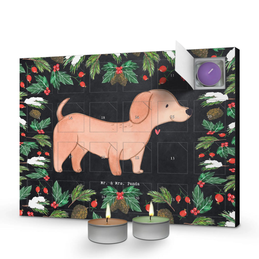  Jamnik krótkowłosy Chwila dawanie, prezent, Pies, rasa psa, pies rasowy, właściciel psa, miłośnik zwierząt, szczeniak