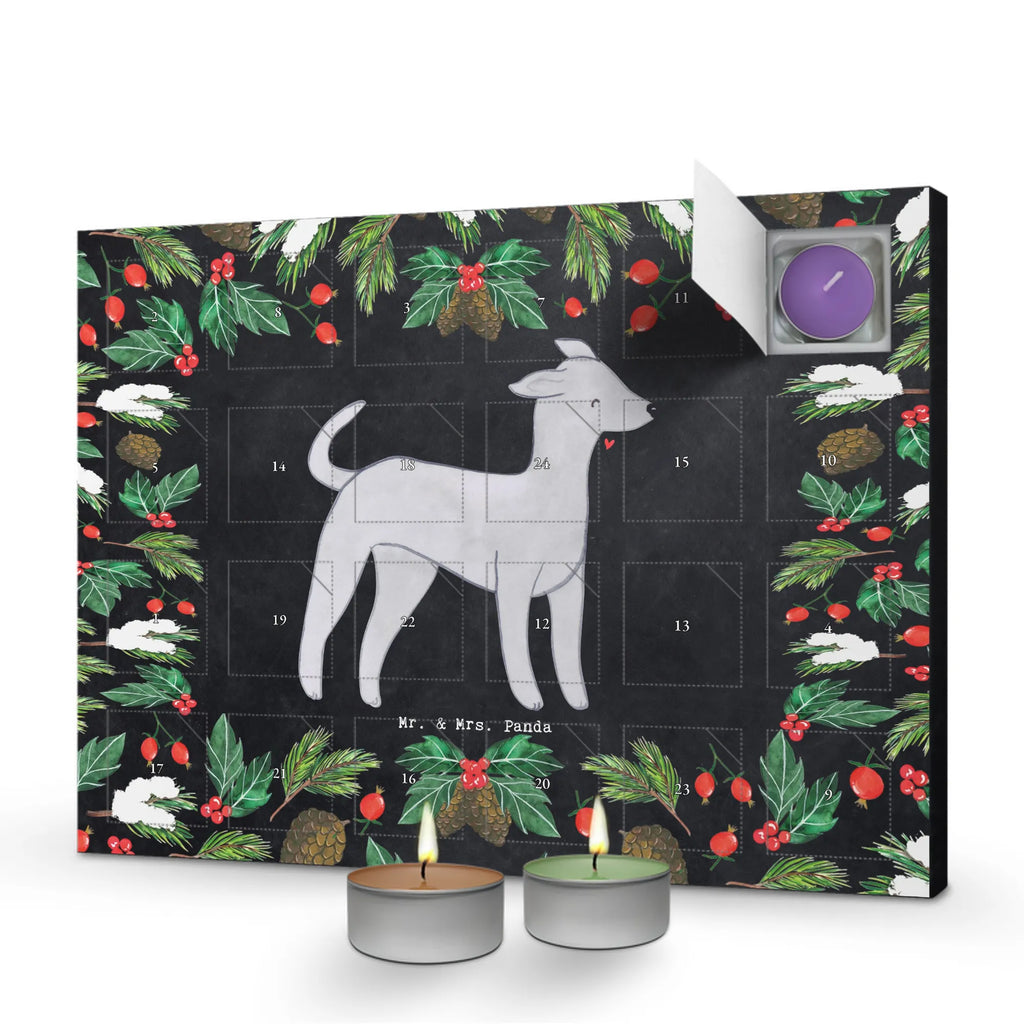 Scented candle advent calendar Italian Greyhound Moment gift, animal lover, giving, dog breed, purebred dog, dog owner, puppy