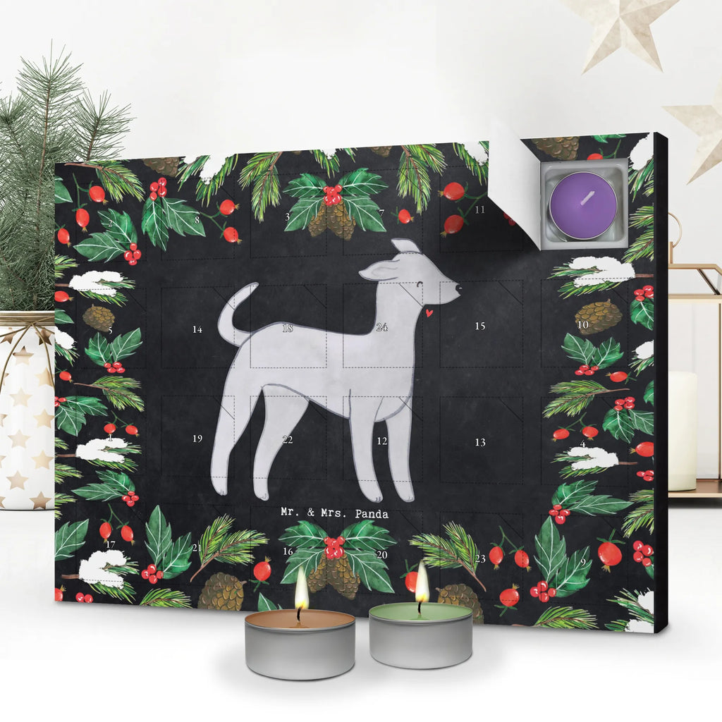 Scented candle advent calendar Italian Greyhound Moment gift, animal lover, giving, dog breed, purebred dog, dog owner, puppy