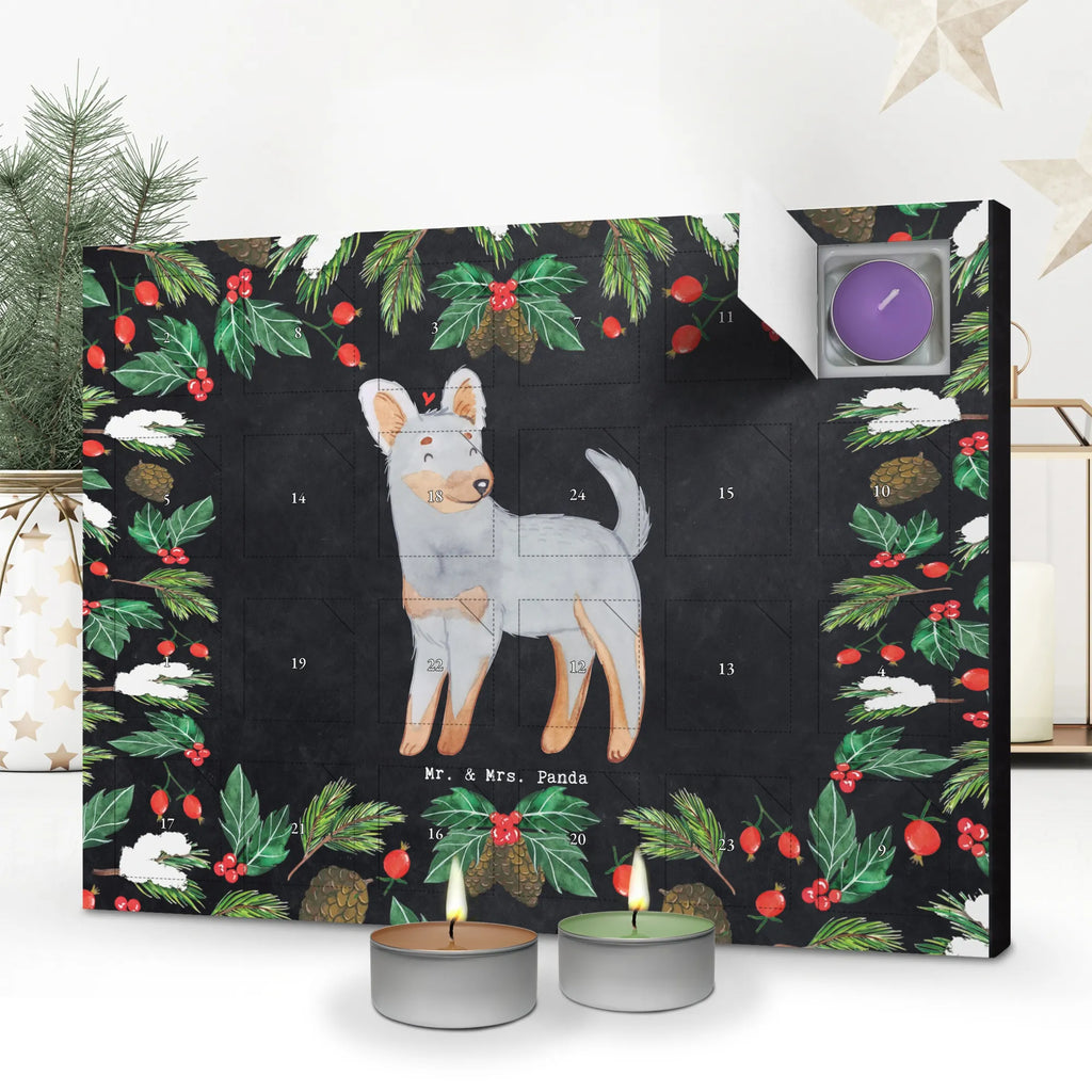 Scented candle advent calendar Prague Rattler moment gift, animal lover, giving, dog breed, purebred dog, dog owner, puppy