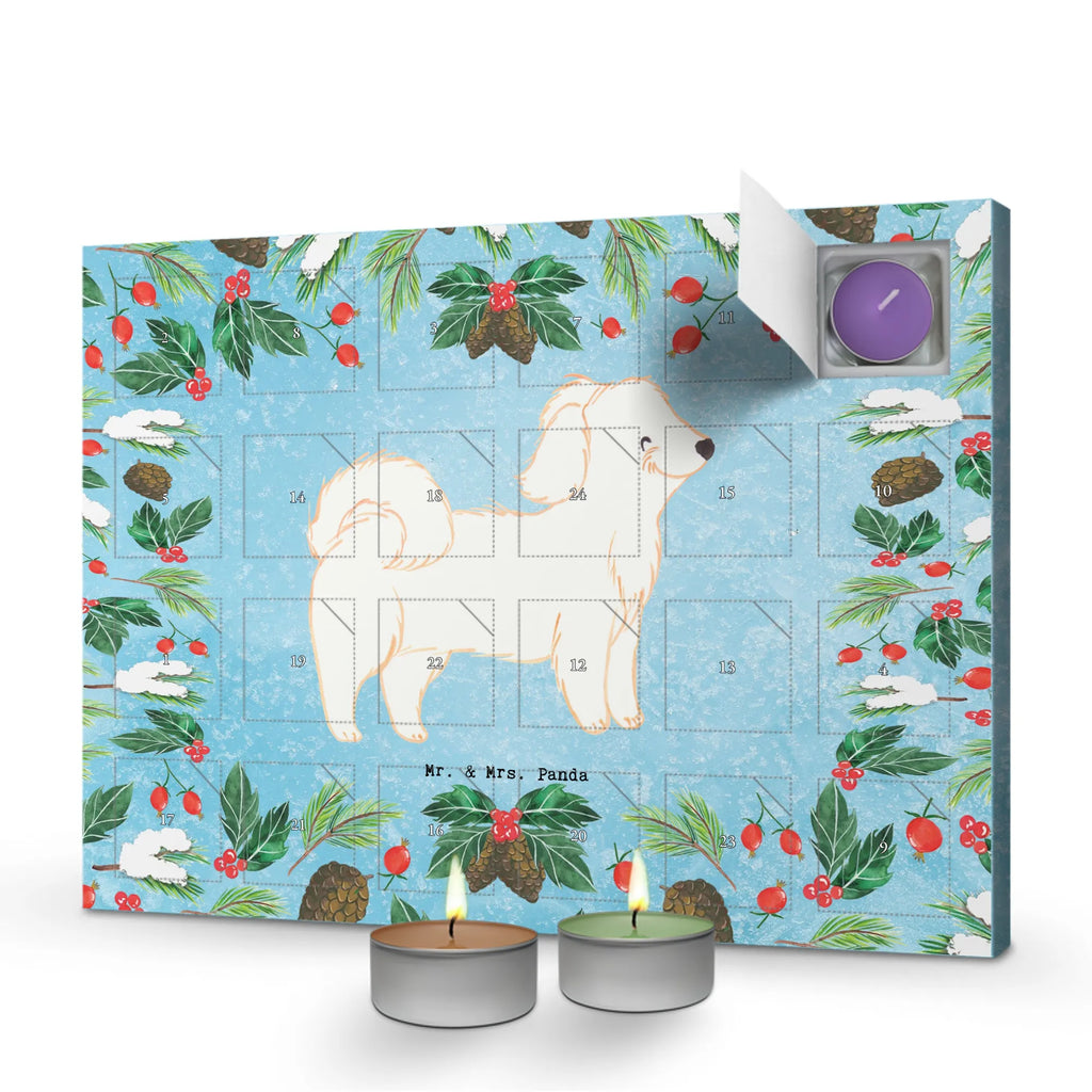 Scented candle advent calendar Havanese Moment gift, animal lover, giving, dog breed, purebred dog, dog owner, puppy