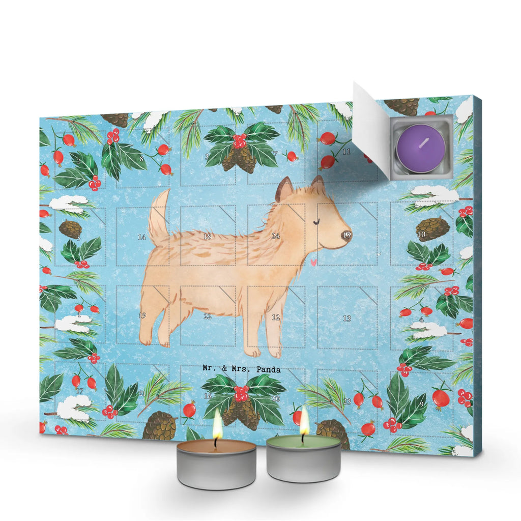 Adventskalender Cairn Terrier Moment Weihnachtskalender, weihnachts adventskalender, duft adventskalender, aroma adventskalender, advent kalender, duftkerzenkalender, adventskalender mit kerzen, kerzenkalender, Adventskalender, adventskalender duftkerzen, adventskalender kerzen, raumduft adventskalender, adventskerzen kalender, Kerzen Adventskalender, adventskalender mit duftkerzen, duft kalender, Duftkerzen Adventskalender, Geschenk, Schenken, Hunderasse, Rassehund, Hundebesitzer, Tierfreund, Welpe, Hund, Cairn Terrier
