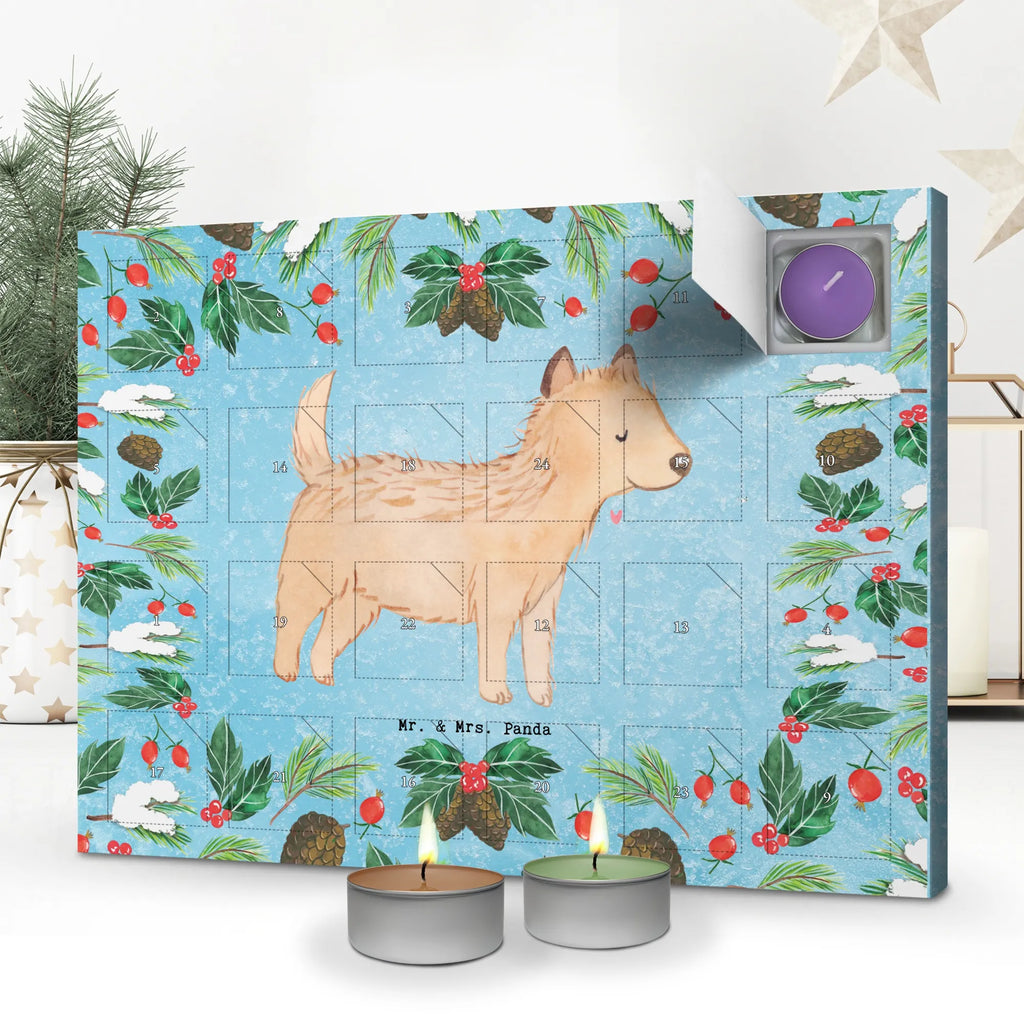 Adventskalender Cairn Terrier Moment Weihnachtskalender, weihnachts adventskalender, duft adventskalender, aroma adventskalender, advent kalender, duftkerzenkalender, adventskalender mit kerzen, kerzenkalender, Adventskalender, adventskalender duftkerzen, adventskalender kerzen, raumduft adventskalender, adventskerzen kalender, Kerzen Adventskalender, adventskalender mit duftkerzen, duft kalender, Duftkerzen Adventskalender, Geschenk, Schenken, Hunderasse, Rassehund, Hundebesitzer, Tierfreund, Welpe, Hund, Cairn Terrier