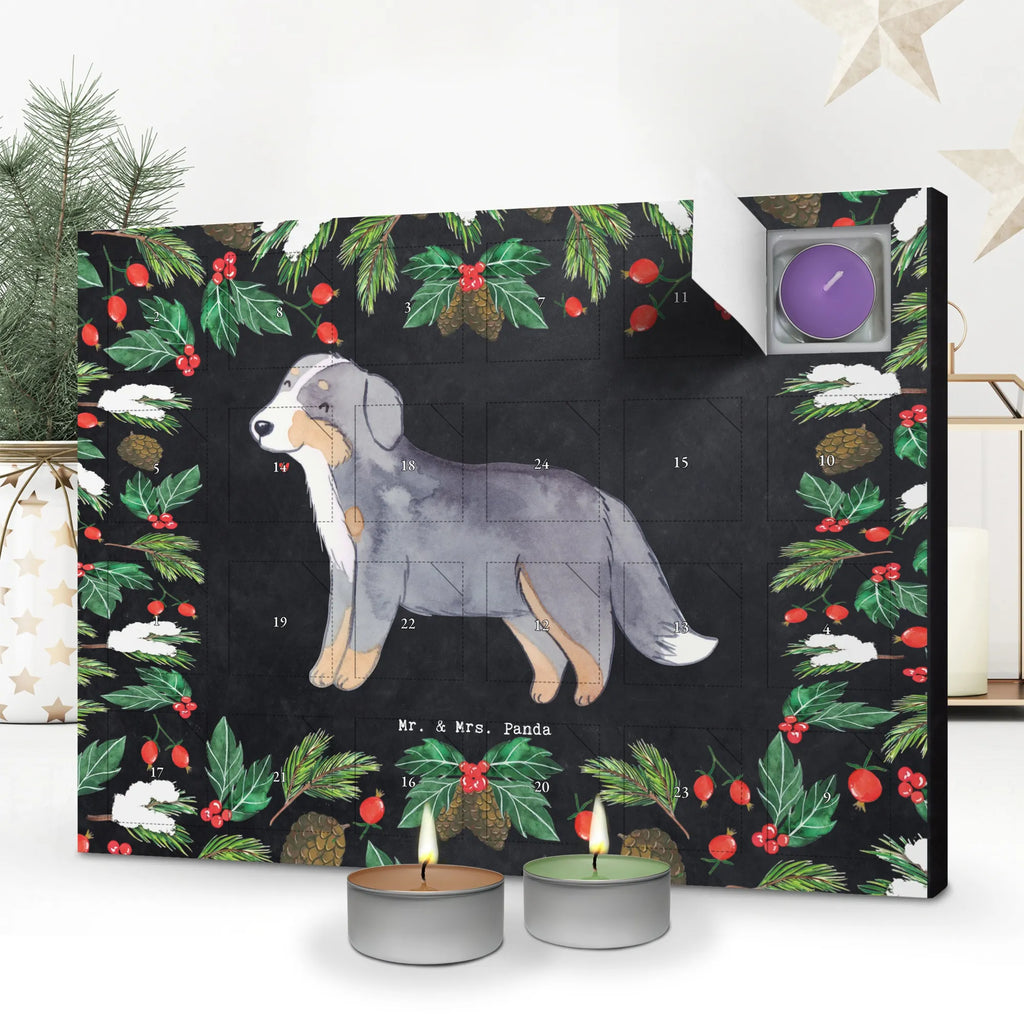 Scented candle advent calendar Bernese Mountain Dog Moment duft kalender, duft adventskalender, adventskalender mit duftkerzen, Weihnachtskalender, Duftkerzen Adventskalender, Kerzen Adventskalender, advent kalender, adventskerzen kalender, Adventskalender, adventskalender mit kerzen, weihnachts adventskalender, duftkerzenkalender, raumduft adventskalender, adventskalender duftkerzen, aroma adventskalender, kerzenkalender, adventskalender kerzen, Hund, Geschenk, Schenken, Hunderasse, Rassehund, Hundebesitzer, Tierfreund, Welpe, Berner Sennenhund, Dürrbächler