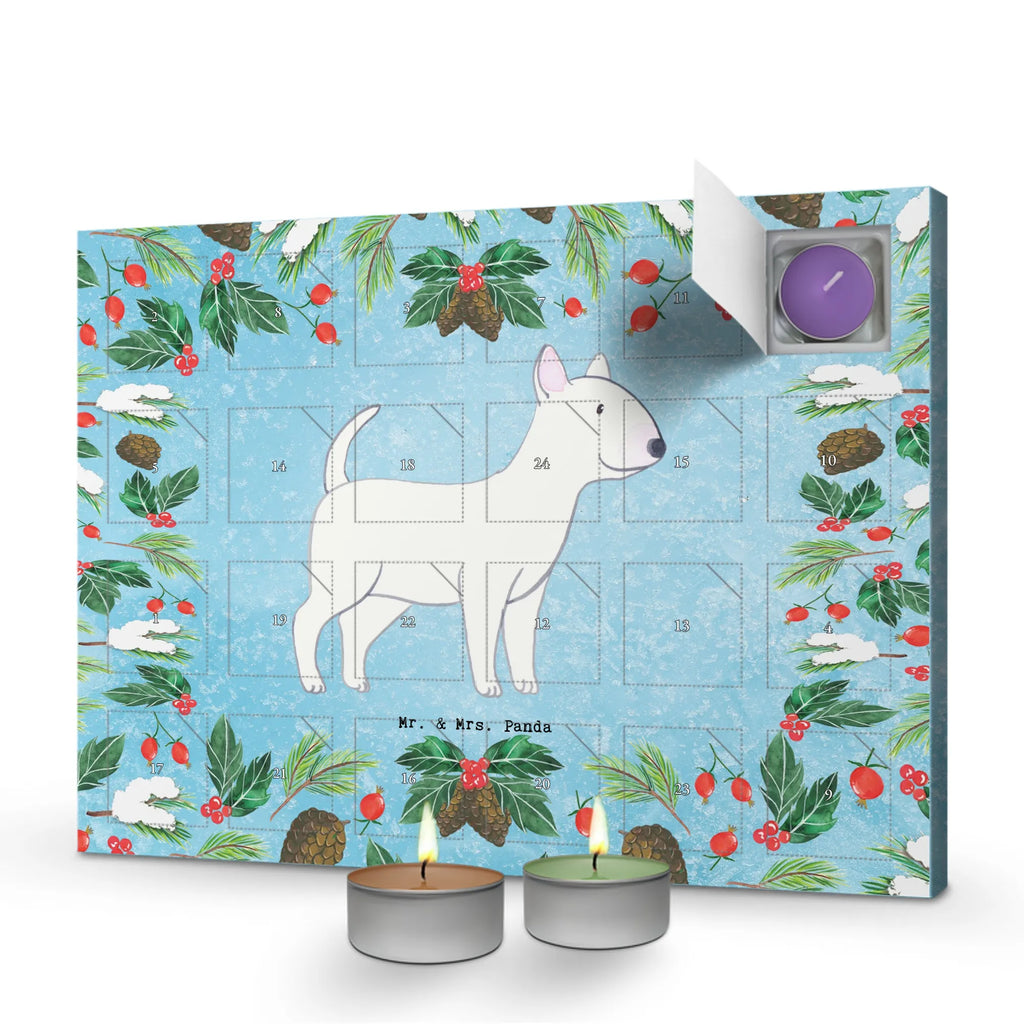  Bullterrier chwila dawanie, prezent, Pies, rasa psa, pies rasowy, właściciel psa, miłośnik zwierząt, szczeniak