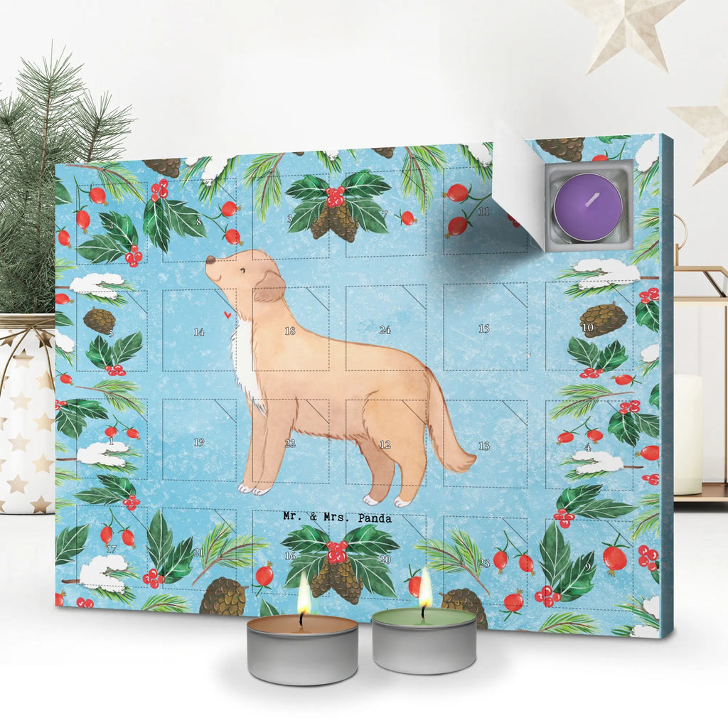 Scented candle advent calendar Nova Scotia Duck Moment gift, animal lover, giving, dog breed, purebred dog, dog owner, puppy