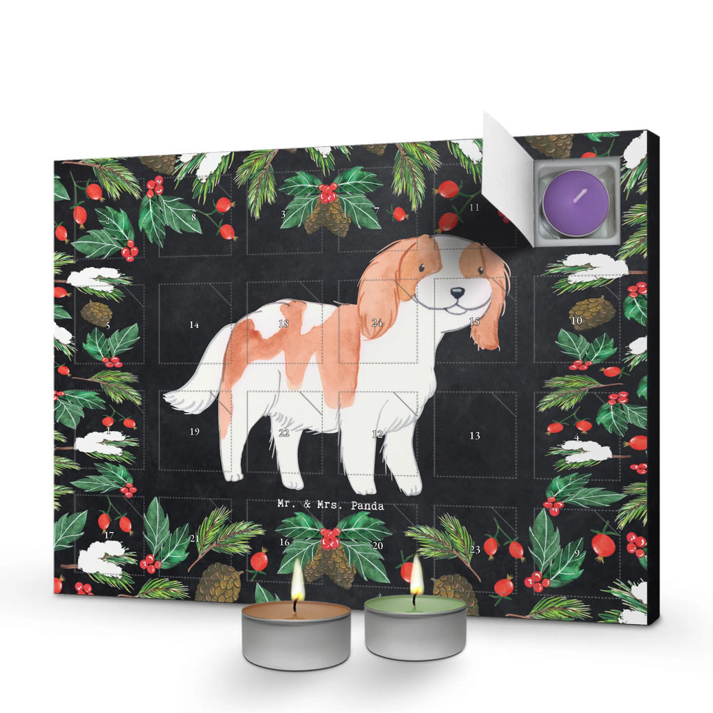 Scented candle advent calendar Cavalier King Charles Spaniel Moment Kerzen Adventskalender, weihnachts adventskalender, adventskalender mit kerzen, adventskerzen kalender, duft kalender, Adventskalender, raumduft adventskalender, advent kalender, Duftkerzen Adventskalender, adventskalender kerzen, duft adventskalender, adventskalender mit duftkerzen, duftkerzenkalender, Weihnachtskalender, kerzenkalender, aroma adventskalender, adventskalender duftkerzen, Geschenk, Schenken, Hunderasse, Rassehund, Hundebesitzer, Tierfreund, Welpe, Hund, Cavalier King Charles Spaniel