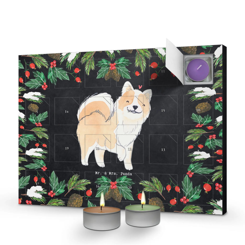 Adventskalender Islandhund Moment adventskalender mit duftkerzen, duftkerzenkalender, Adventskalender, duft adventskalender, Duftkerzen Adventskalender, aroma adventskalender, adventskerzen kalender, Weihnachtskalender, adventskalender duftkerzen, Kerzen Adventskalender, adventskalender kerzen, raumduft adventskalender, weihnachts adventskalender, duft kalender, kerzenkalender, advent kalender, adventskalender mit kerzen, Hund, Geschenk, Hunderasse, Schenken, Rassehund, Hundebesitzer, Tierfreund, Welpe, Isländischer Schäferhund, Islandhund