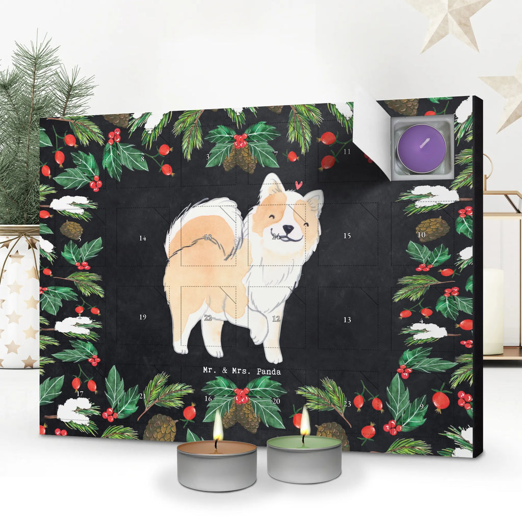Adventskalender Islandhund Moment adventskalender mit duftkerzen, duftkerzenkalender, Adventskalender, duft adventskalender, Duftkerzen Adventskalender, aroma adventskalender, adventskerzen kalender, Weihnachtskalender, adventskalender duftkerzen, Kerzen Adventskalender, adventskalender kerzen, raumduft adventskalender, weihnachts adventskalender, duft kalender, kerzenkalender, advent kalender, adventskalender mit kerzen, Hund, Geschenk, Hunderasse, Schenken, Rassehund, Hundebesitzer, Tierfreund, Welpe, Isländischer Schäferhund, Islandhund