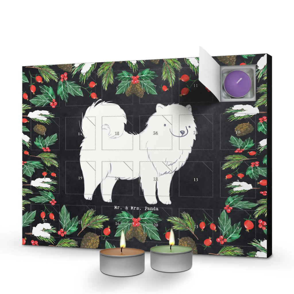  samojed Chwila dawanie, prezent, Pies, rasa psa, pies rasowy, właściciel psa, miłośnik zwierząt, szczeniak