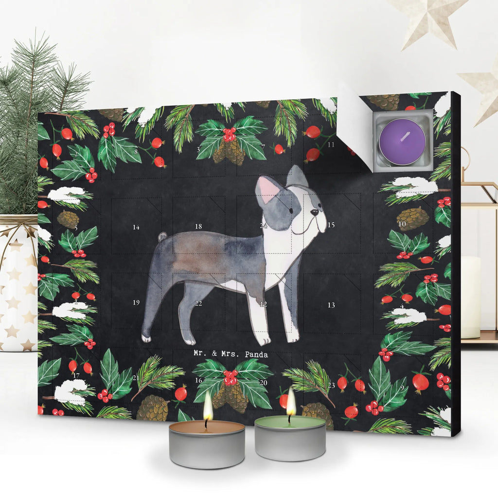 Scented candle advent calendar Boston Terrier Moment gift, animal lover, giving, dog breed, purebred dog, dog owner, puppy