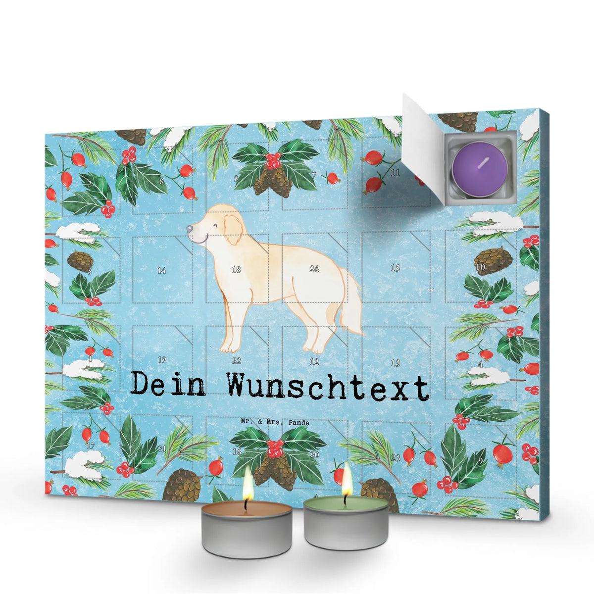  Golden Retriever chwila dawanie, prezent, Pies, rasa psa, pies rasowy, właściciel psa, miłośnik zwierząt, szczeniak