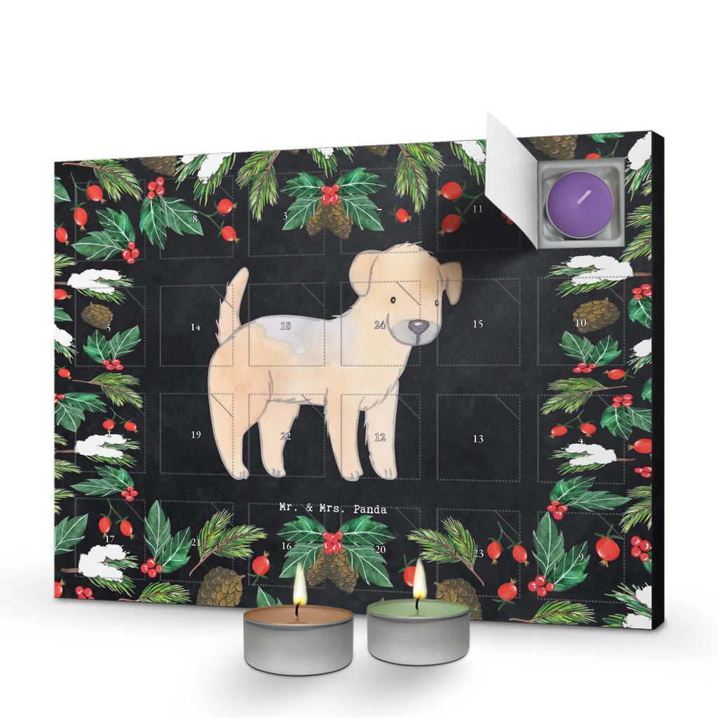  Border Terrier chwila duftkerzenkalender, Kerzen Adventskalender, Weihnachtskalender, duft adventskalender, adventskalender mit kerzen, weihnachts adventskalender, adventskalender kerzen, raumduft adventskalender, aroma adventskalender, Duftkerzen Adventskalender, adventskalender duftkerzen, Adventskalender, duft kalender, adventskalender mit duftkerzen, kerzenkalender, advent kalender, adventskerzen kalender, Hund, Geschenk, Schenken, Hunderasse, Rassehund, Hundebesitzer, Tierfreund, Welpe, Border Terrier