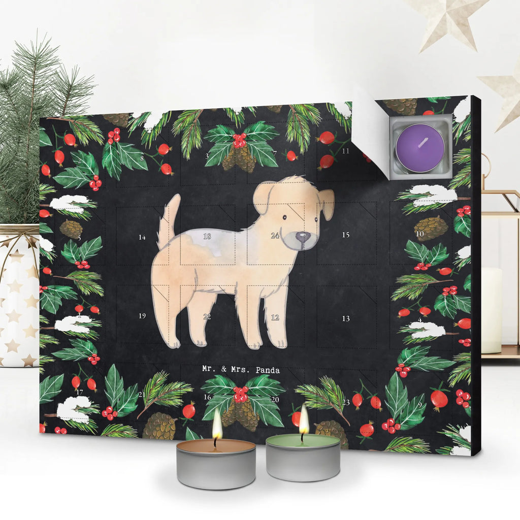  Border Terrier chwila duftkerzenkalender, Kerzen Adventskalender, Weihnachtskalender, duft adventskalender, adventskalender mit kerzen, weihnachts adventskalender, adventskalender kerzen, raumduft adventskalender, aroma adventskalender, Duftkerzen Adventskalender, adventskalender duftkerzen, Adventskalender, duft kalender, adventskalender mit duftkerzen, kerzenkalender, advent kalender, adventskerzen kalender, Hund, Geschenk, Schenken, Hunderasse, Rassehund, Hundebesitzer, Tierfreund, Welpe, Border Terrier