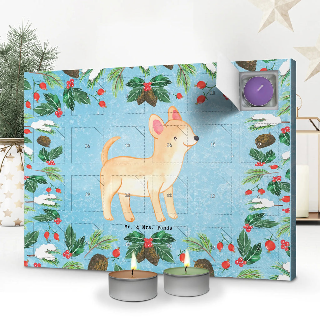 Chocolate advent calendar Chihuahua moment puppy, dog owner, purebred dog, dog breed, giving, animal lover, gift